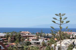 Fotografie z fotogalerie ubytování Superb seaview apartment in Playa de Las Americas v destinaci Playa de las Americas