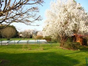 un árbol con flores blancas en un campo verde en HOME VACANCES 4 étoiles par CDT DORDOGNE, en Le Pizou