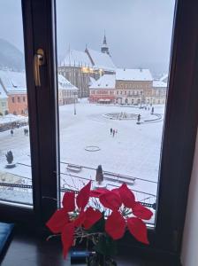 a window with red flowers in front of a rink at Apartament Piata Sfatului in Braşov