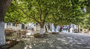 Fotografie z fotogalerie ubytování The Nest v destinaci Triandáros