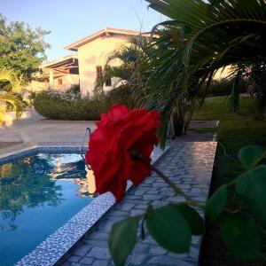 a red flower sitting next to a swimming pool at Pousada Vale Encantado in Serra de São Bento