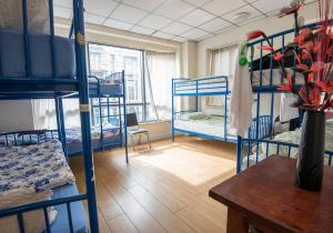 Gallery image of The Apache Hostel in Dublin