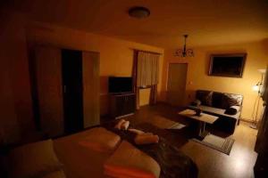 Μια τηλεόραση ή/και κέντρο ψυχαγωγίας στο HBR Friendly Apartment