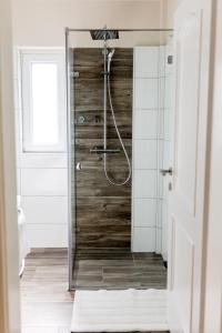 a shower with a glass door in a bathroom at Villa Forellenweg in Reifnitz