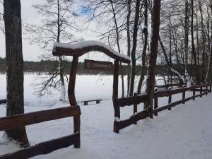 Przyroda w pobliżu tego domu wakacyjnego