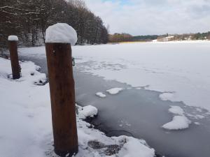 Obiekt Ostoja Bukowo 20 Kaszuby, Miętowa Żaba zimą
