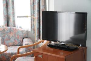 TV a/nebo společenská místnost v ubytování Villa Wilisch