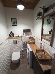 Kuchnia lub aneks kuchenny w obiekcie Ostoja Bukowo 20 Kaszuby, Miętowa Żaba