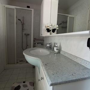 a bathroom with a sink and a shower at LITTLE FLOWER in Domaso +75 photos
