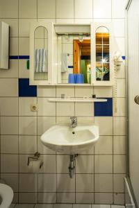 a bathroom with a sink and a mirror at Hotel Restaurant Wolfsschlucht GmbH in Bad Münstereifel