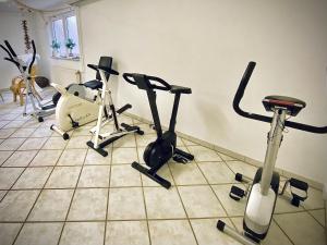 Fitness centrum a/nebo fitness zařízení v ubytování Meister BÄR HOTEL Wettiner Hof