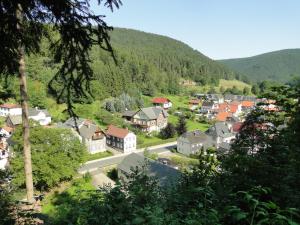 a small town in a valley with a mountain at Gästehaus Hofmann - 4 Sterne Ferienwohnung Sorbitztal in Rohrbach