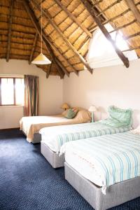 two beds in a room with a attic at Graceland Farm in Underberg
