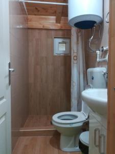 a bathroom with a toilet and a sink at Organic Family Farm in Žabljak
