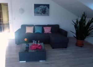 Posezení v ubytování Ferienwohnung Pickenhan