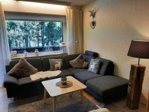 Posezení v ubytování Apartment am Bikepark mit Kamin und Sauna