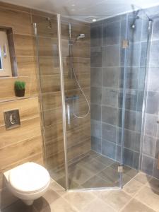a shower stall in a bathroom with a toilet at Stay America in America +12 photos