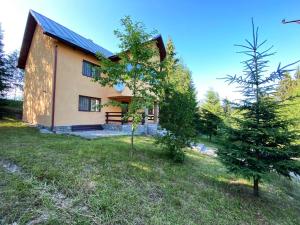 a house with a tree in front of it at Casa Ionel si Dani in Fundata