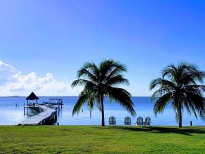 Gallery image of Tilt-Ta-Dock Resort Belize in Corozal