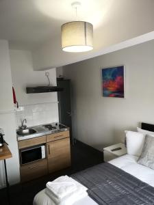 a small room with a bed and a kitchen at Ty'r Bont Studios in Newtown +46 photos