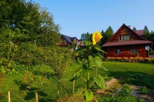 słonecznik w ogrodzie przed domem w obiekcie Leśniczówka Przytulia - Bieszczadzka Zagroda w mieście Lesko