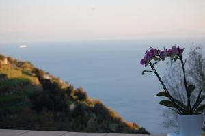 a vase with purple flowers sitting on a table at Tenuta Mamma Carmela in Amalfi