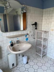 a bathroom with a sink and a mirror at Hof Beuck in Travenhorst