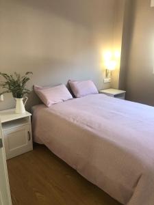 a bedroom with a large white bed with two pillows at ESTUDIO Zona Norte Santiago de Compostela VUTCO-04046 in Santiago de Compostela
