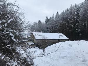 a house is covered in snow with trees at Le Paradis in Theux