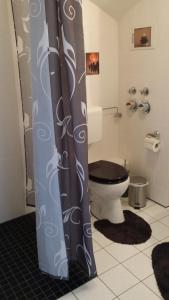 ein Bad mit einem WC und einem Duschvorhang in der Unterkunft Apartment Gosch an der Skiwiese in Braunlage