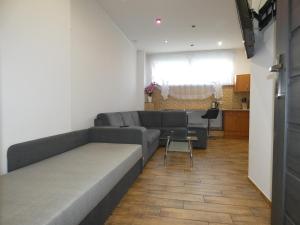a living room with a couch and a table at Apartament Bielsko in Bielsko-Biala