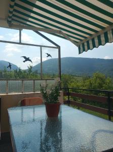 a table with a potted plant on a balcony with birds at Guest House Bovada / Къща за гости Бовада 