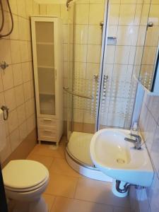 uma casa de banho com um WC, um chuveiro e um lavatório. em Vivi studio apartments em Mali Lošinj