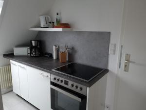 eine Küche mit Spüle und Herd oberen Backofen in der Unterkunft Wohnung Burgstaaken in Fehmarn