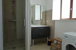 ein Badezimmer mit einem Waschbecken, einer Dusche und einer Waschmaschine in der Unterkunft Le nid de Jehanne in Coussey