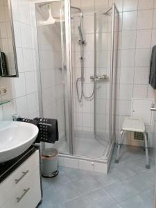 a bathroom with a shower and a sink at Ferienwohnung Michael Vogl in Bodenmais