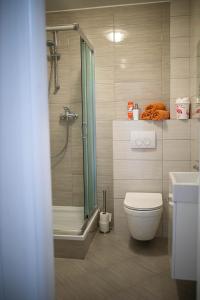 ein Bad mit einer Dusche, einem WC und einem Waschbecken in der Unterkunft Afrodita in Gornji Karin