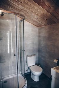 a bathroom with a toilet and a shower at Rauðuskriður farm in Hólmabæir