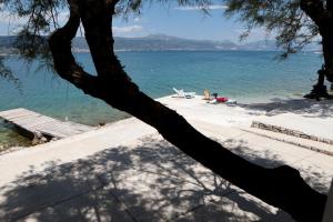 Fotografia z galérie ubytovania A1 - large apt with big terrace balcony & sea view v Trogiri