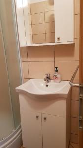 Ein Badezimmer in der Unterkunft Ruzica Apartments