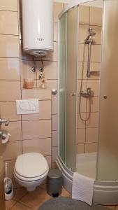 ein Badezimmer mit Toilette und Dusche in der Unterkunft Ruzica Apartments in Mirce + 37 Fotos