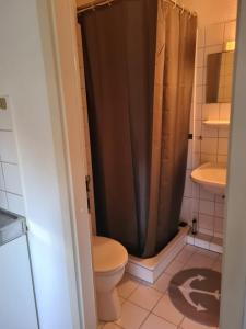 uma casa de banho com uma cortina de chuveiro e um WC em Stadtnah an der Förde 144 em Flensburg