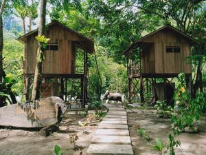 Gallery image of Bua Guesthouse Tangkahan in Tangkahan