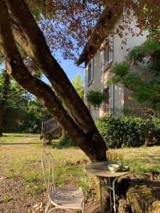 une table et une chaise assises sous un arbre dans l'établissement Domaine Jacqueline Père & Filles, à Aix-les-Bains