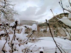des branches d'arbres recouvertes de neige avec de la neige sur elles dans l'établissement A l'Orée du Bois, à Dommartin-lès-Remiremont