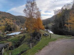 A l'Orée du Bois في Dommartin-lès-Remiremont: مقعد جالس على تلة بجانب نهر