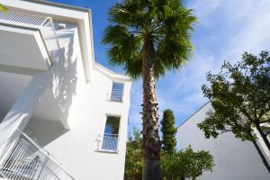 ソレントにあるVilla Cettina Boutique Hotelの白い建物前のヤシの木