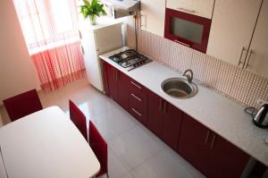 a kitchen with a sink, stove, and a dishwasher at Ratusha Apartments in Lviv