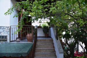 a staircase leading up to a house with potted plants at Vila Kaci in Durrës