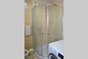 y baño con ducha y puerta de cristal. en Apartment Brooklyn in Kamianets-Podilskyi, en Kamianets-Podilskyi